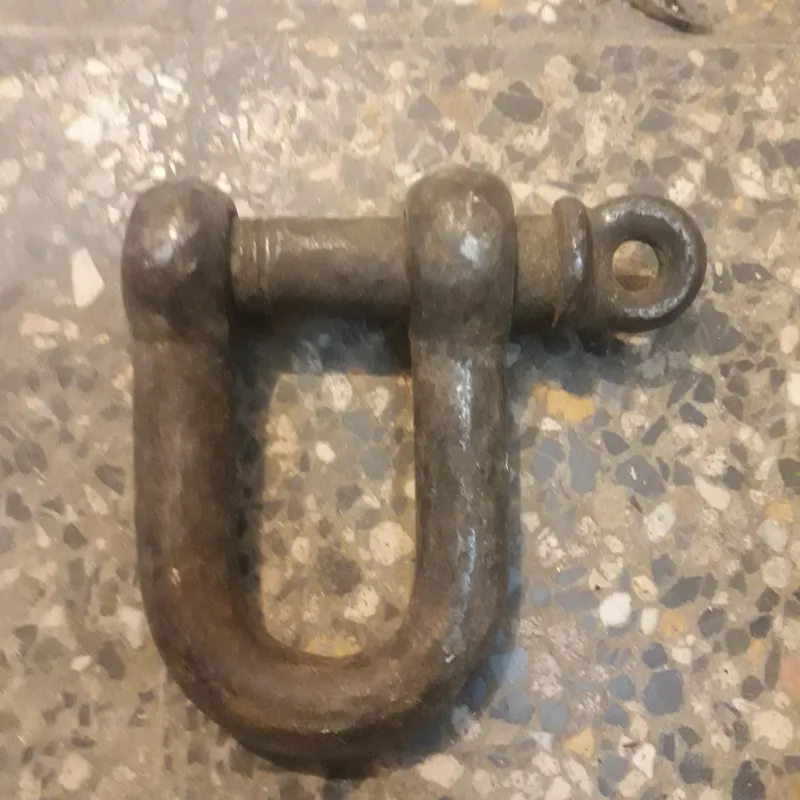 شگل سالم جنس قدیم