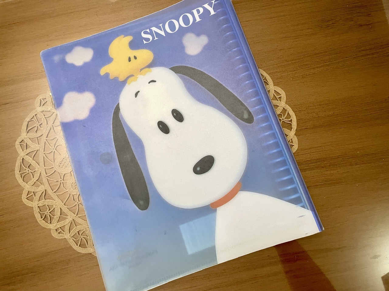 دفتر کلاسوری سایز B5