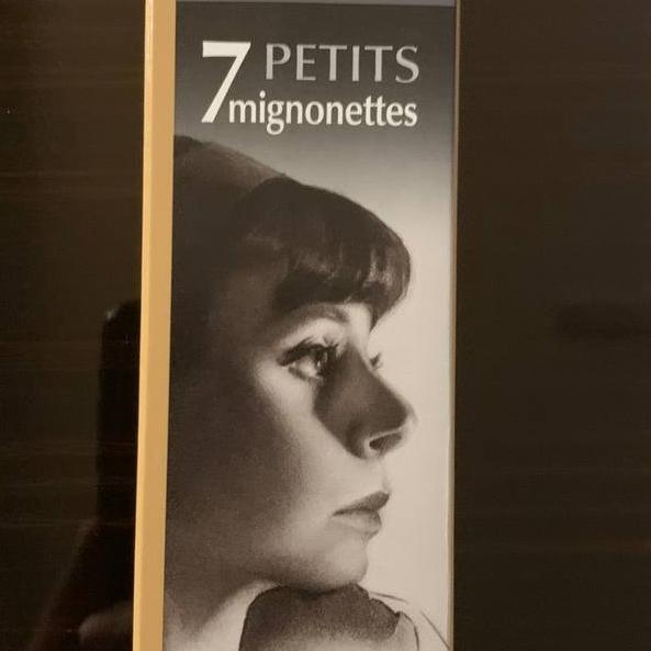 زغال طراحی نیترام ، Mignonette (Bâton Refills) 4