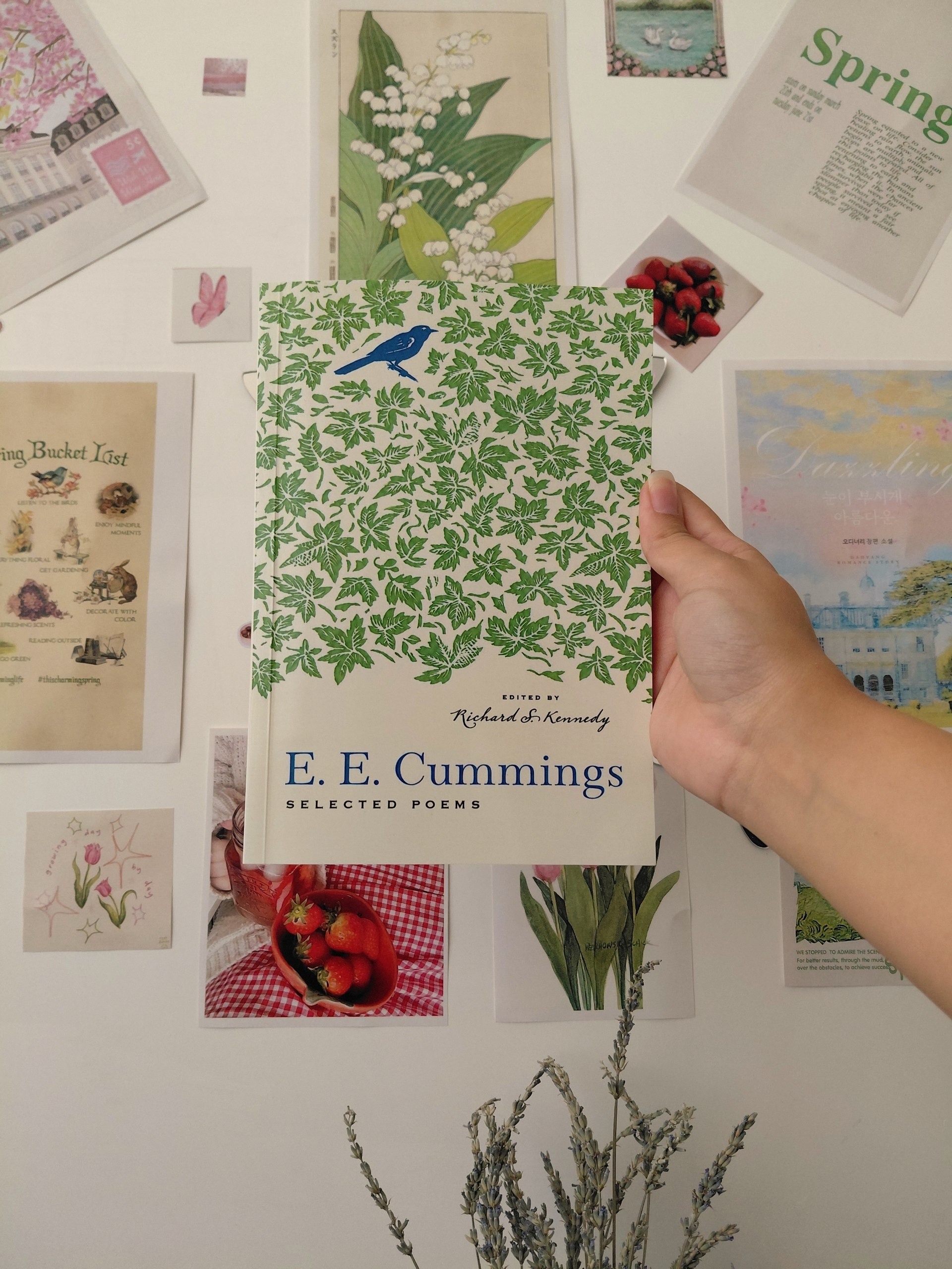 کتاب Selected Poems of E. E. Cummings (مصور)
