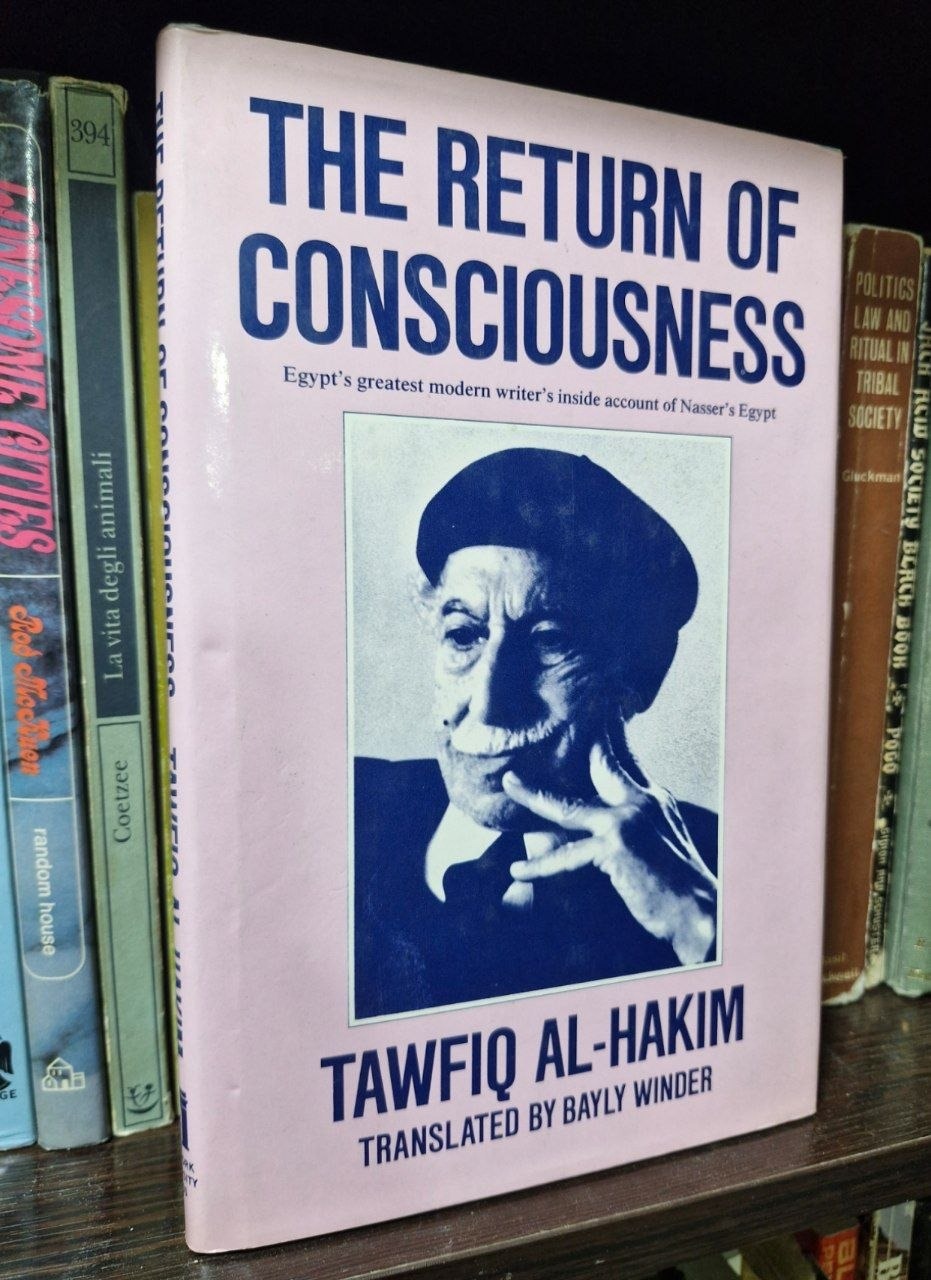The Return of Consciousness