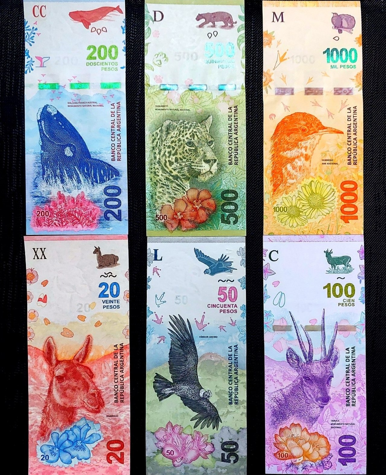 ست کامل اسکناس 20 تا 1000 پزو آرژانتین حیوانات