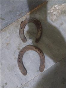نعل