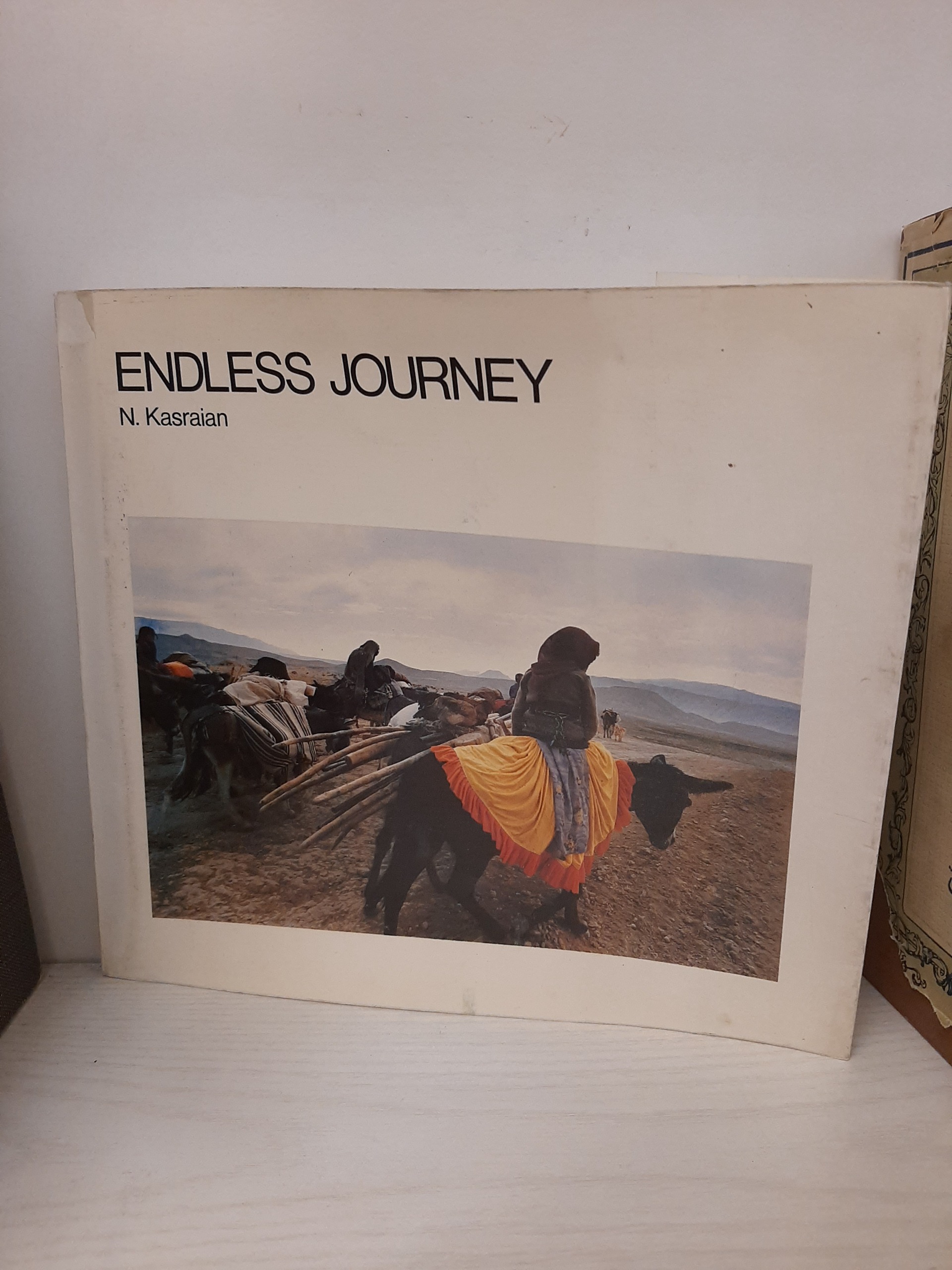 کتاب endless journey