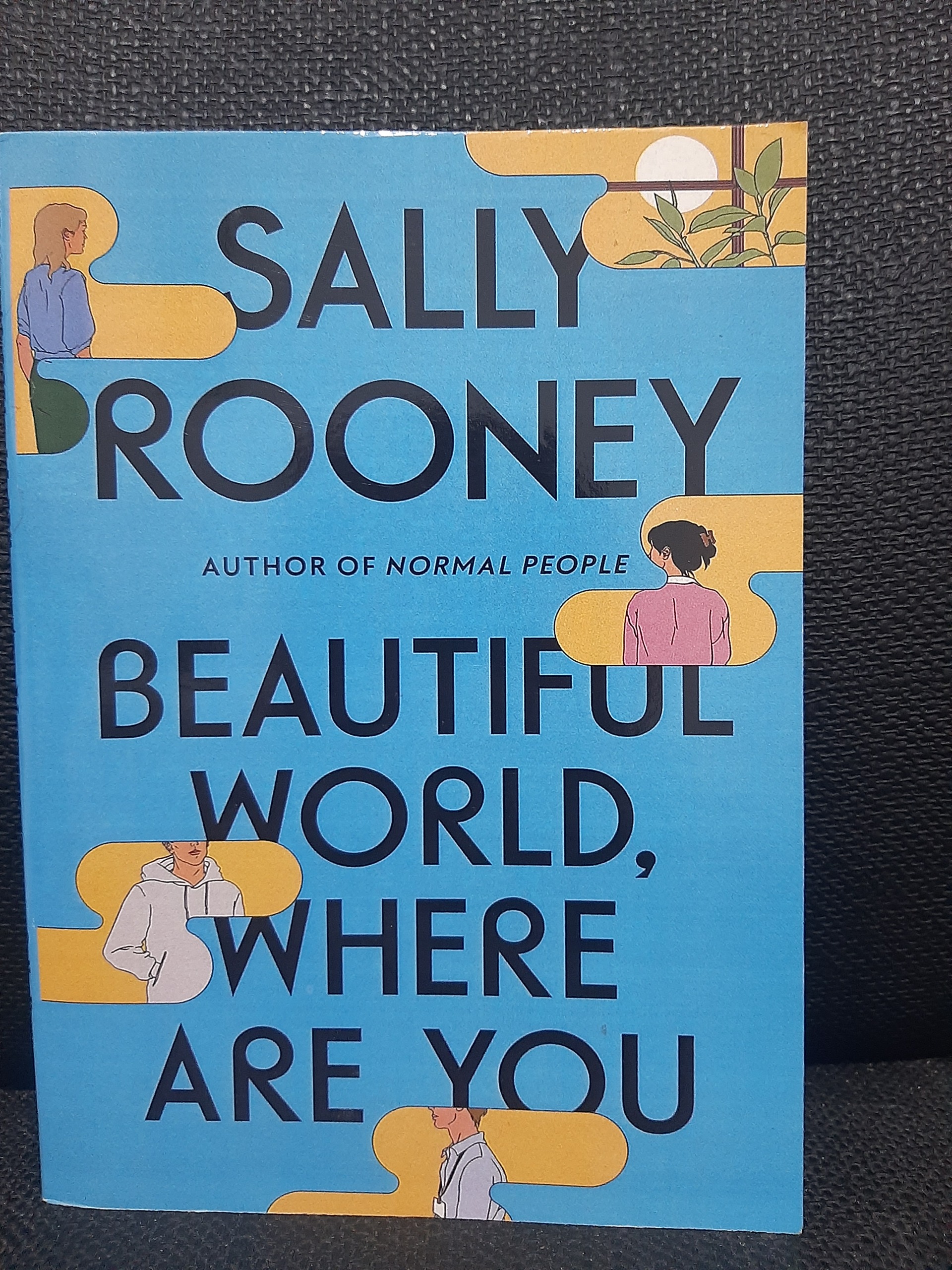 کتاب beautiful world where are you و کتاب دیگر