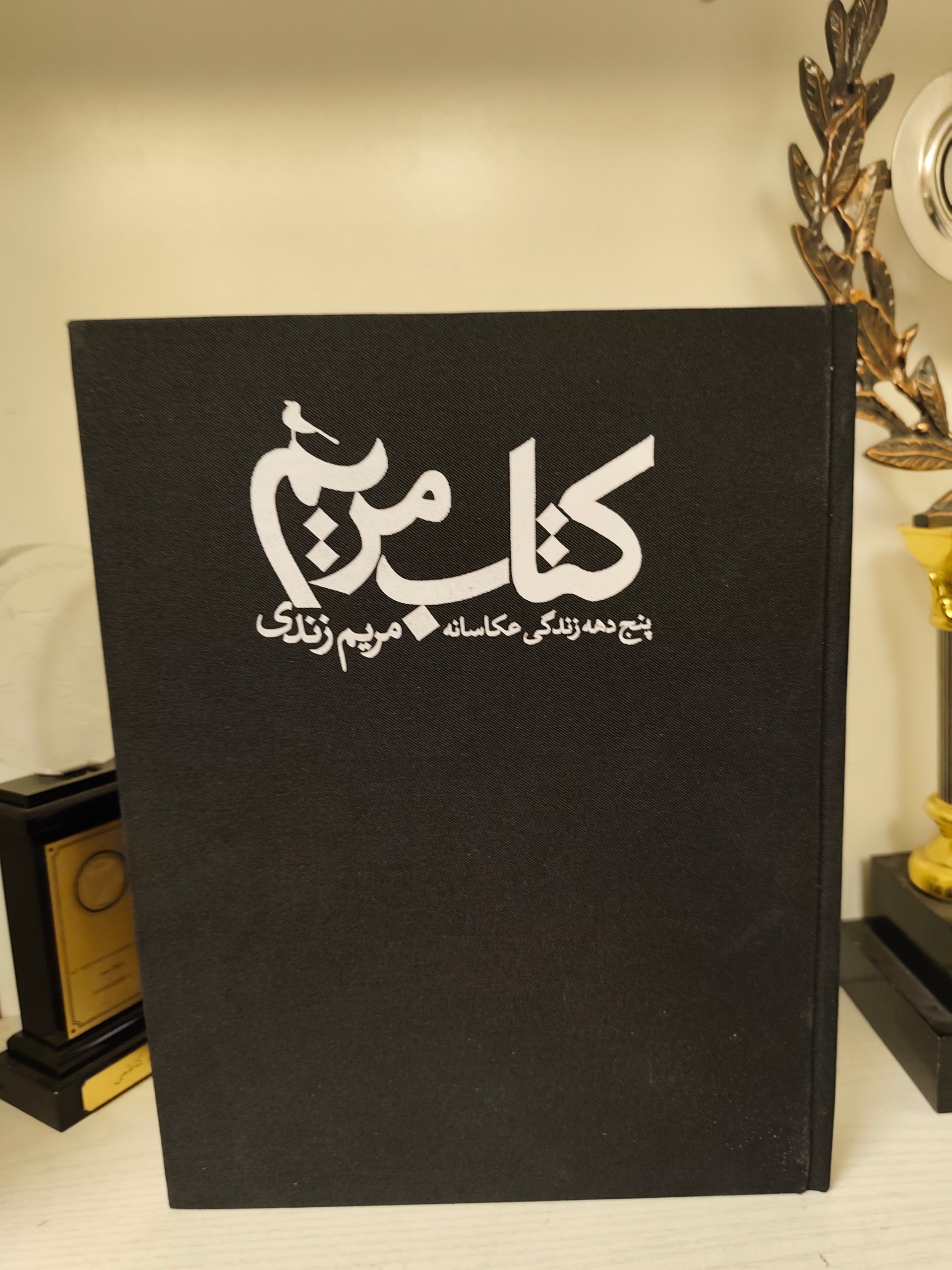 کتاب مریم زندی