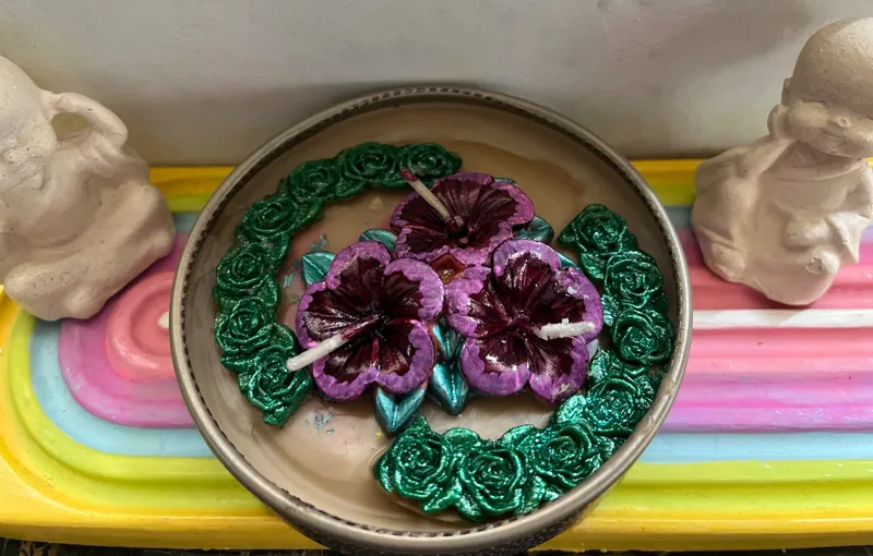 نازیخی بزرگ قوطی