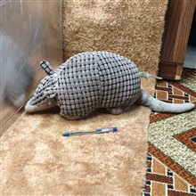 عروسک