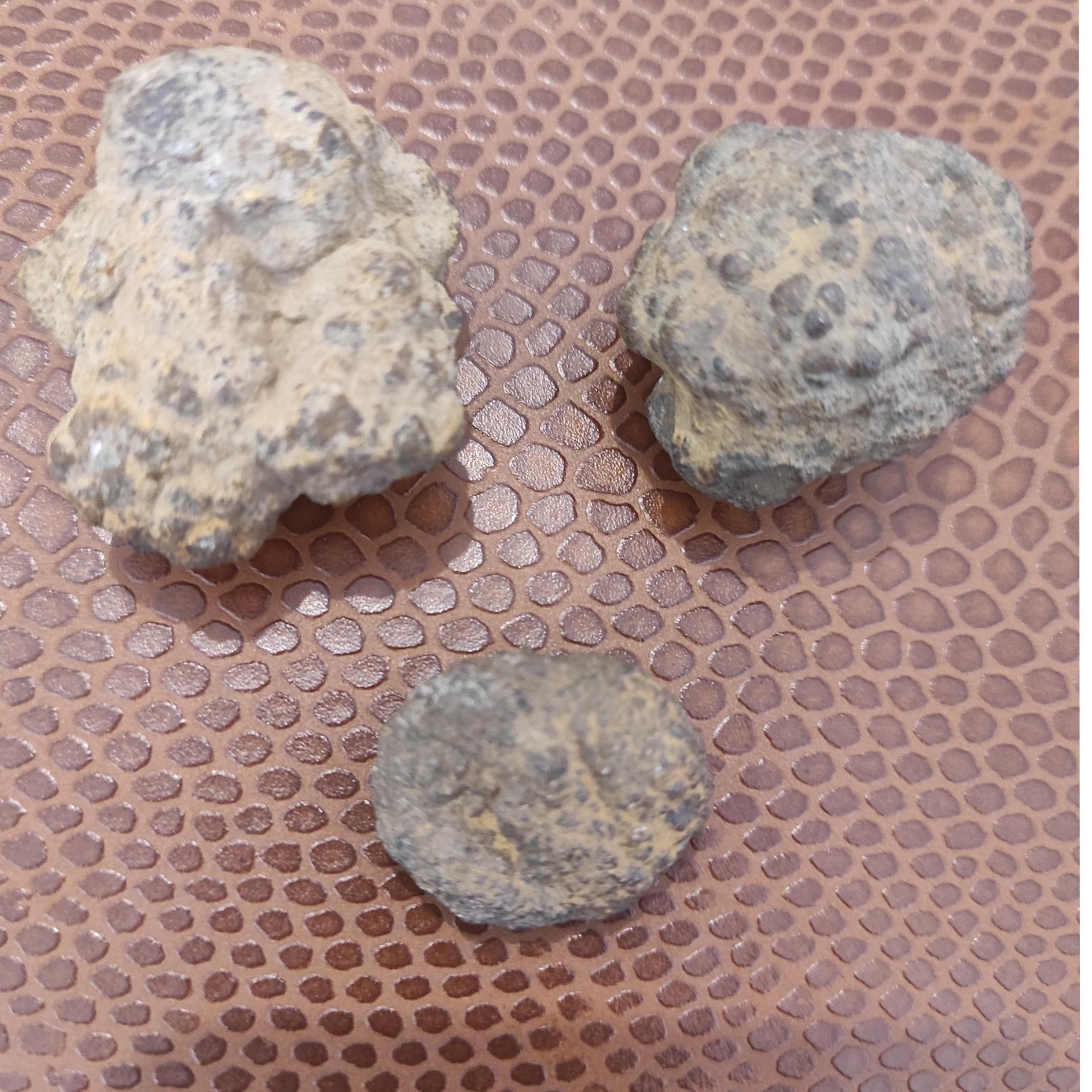 سه عددسنگ مشکوک به شهاب سنگ