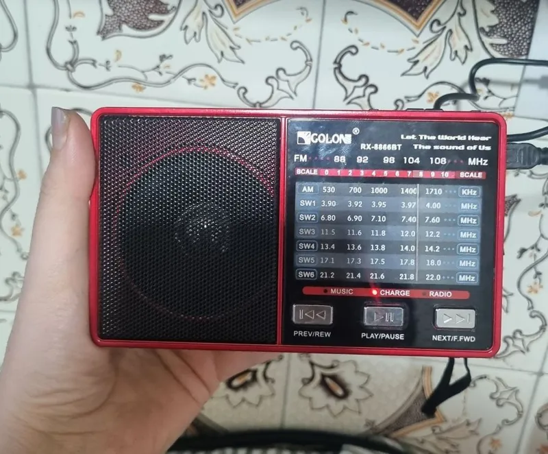 رادیو گولون FM/SW1~SW6/AM
