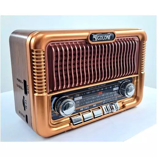 رادیو FM/AM/SW اسپیکر USB گولون مدل RX-6060BT