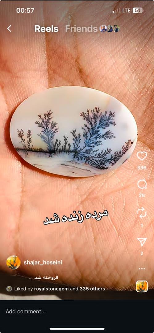 شجر کلاسیک و زیبا