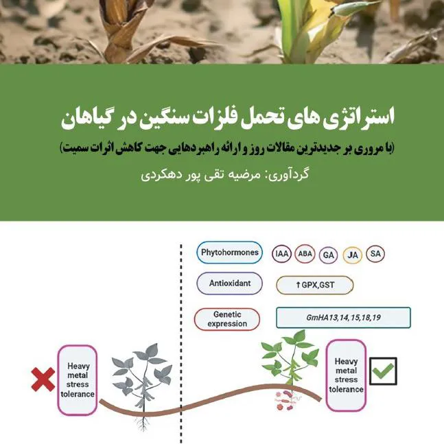 کتاب استراتژی های تحمل فلزات سنگین در گیاهان