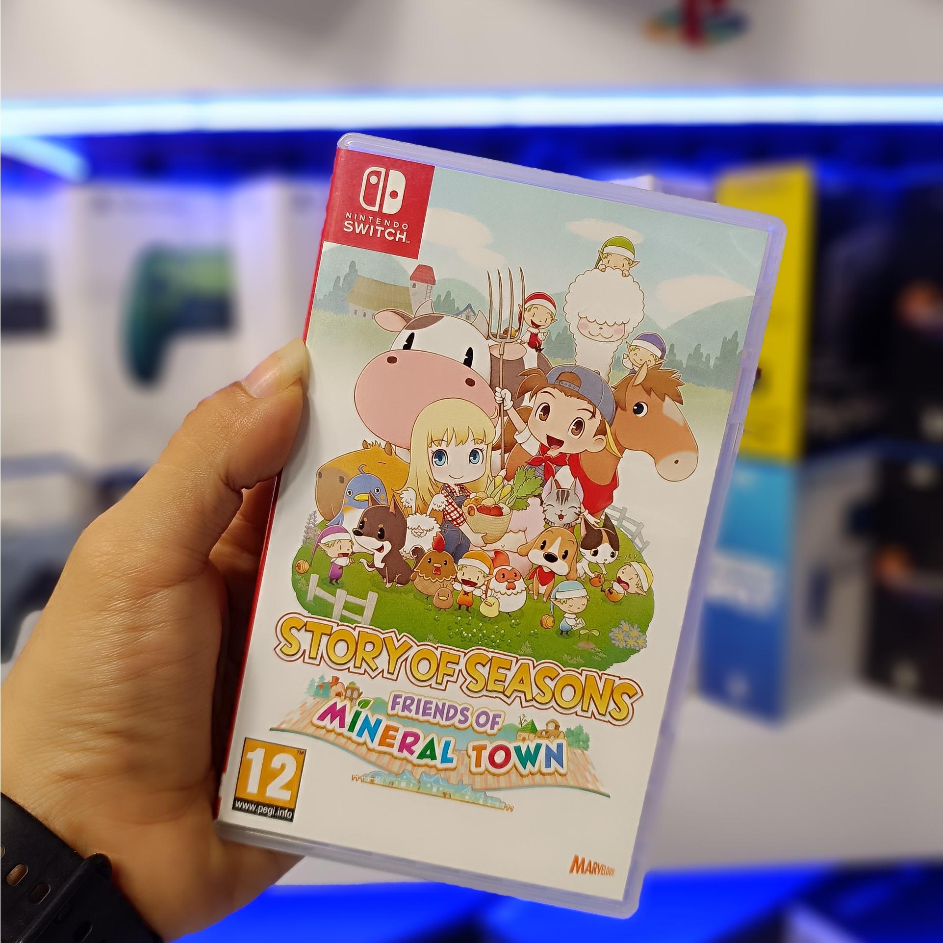 Story Of Seasons Friends Of Mineral Town