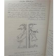 سرگرمی