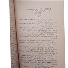 زنبور