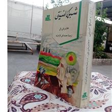 شبکه