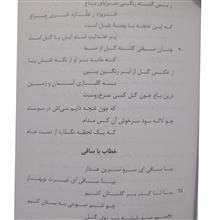 ساقی