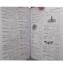 فرهنگ