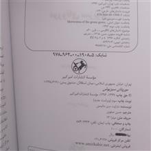 مورونای