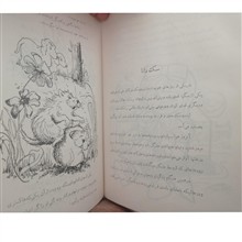 پیرمرد