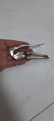 فشنگ