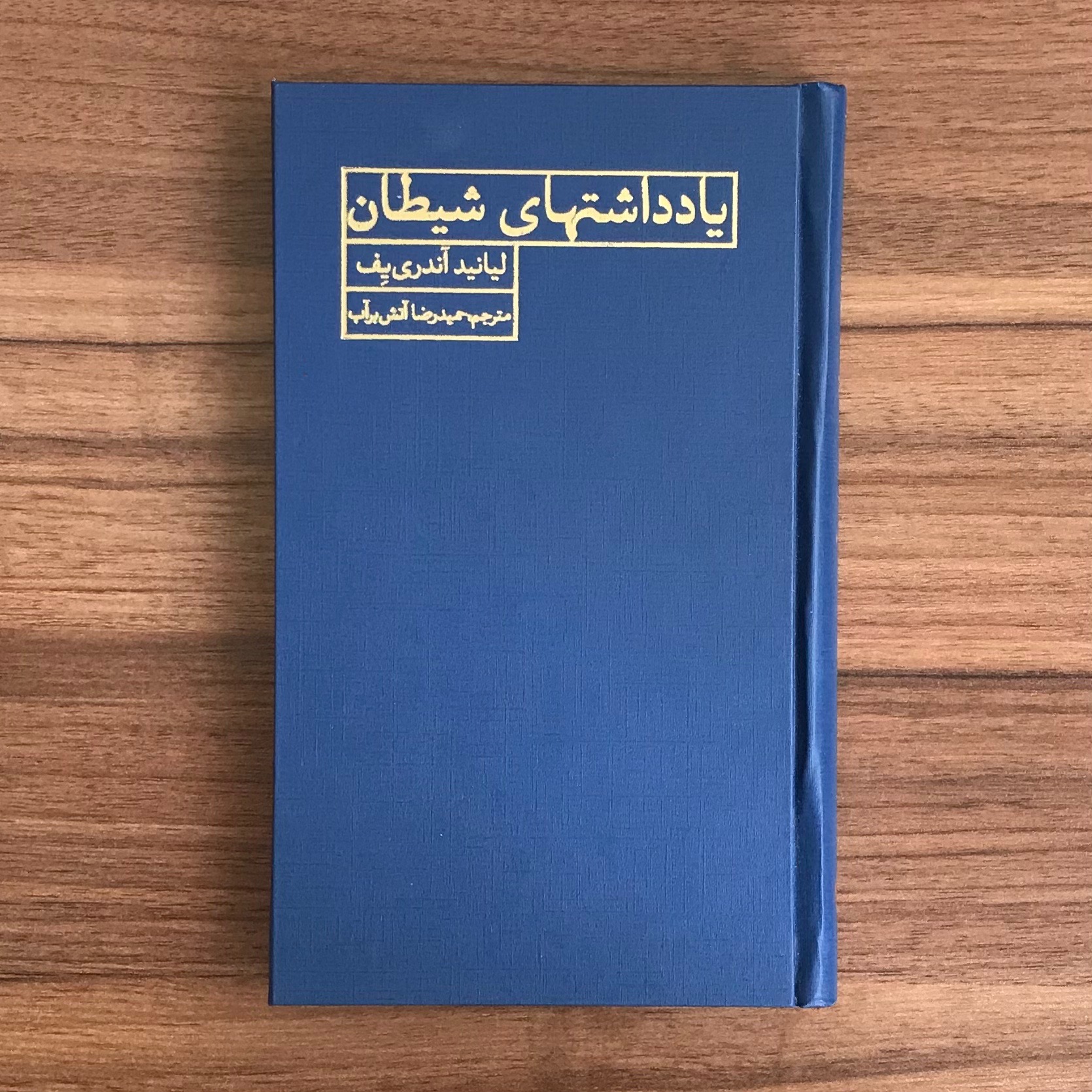 یادداشتهای شیطان اثر لیانید آندری یف