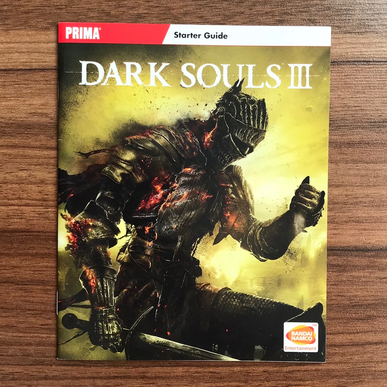 دفترچه راهنمای DARK SOULS 3