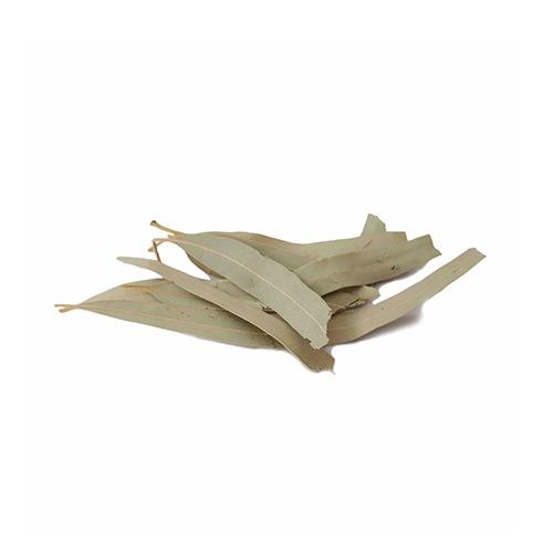 (برگ) دمنوش اکالیپتوس