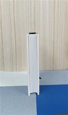 انسان