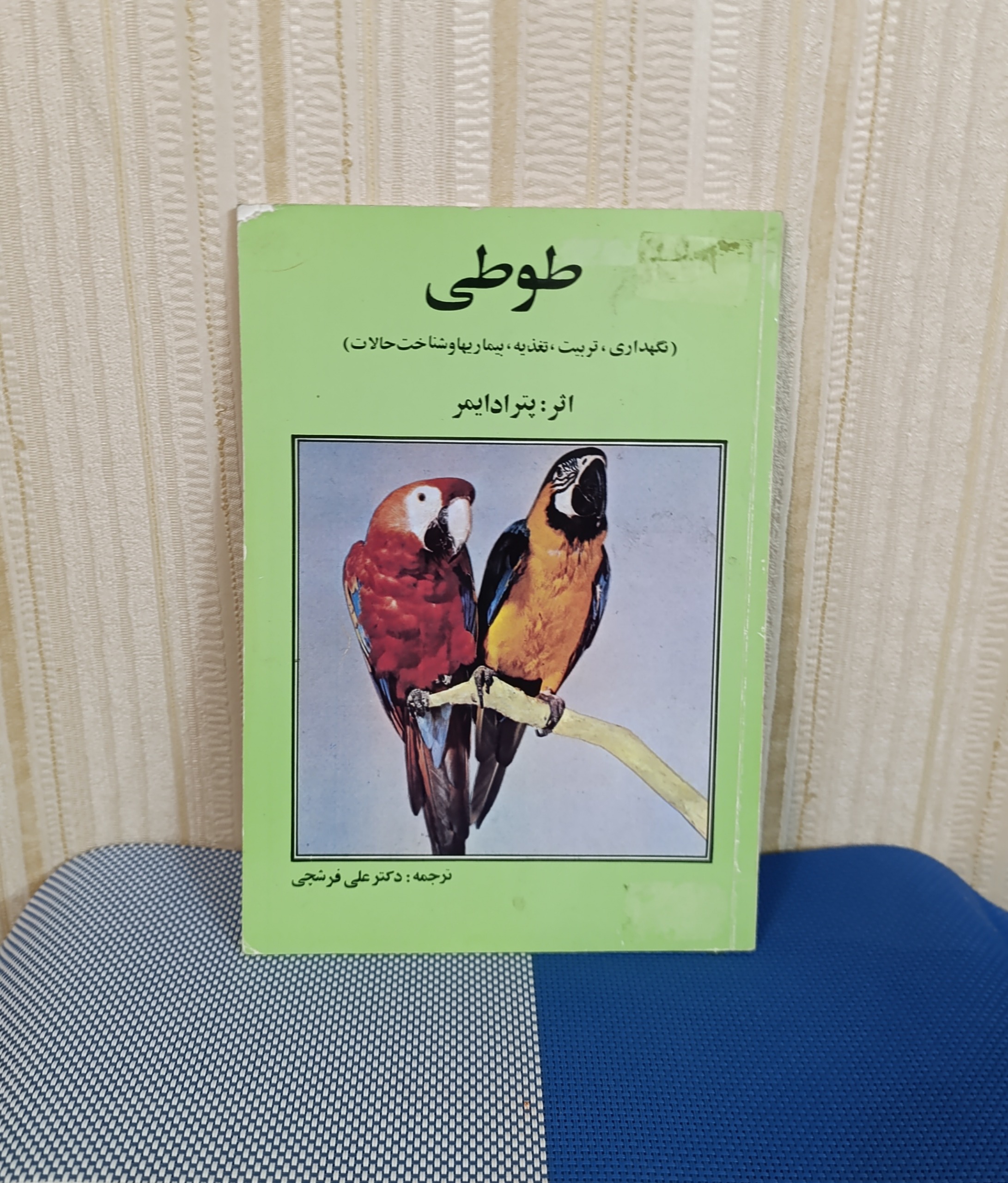 طوطی ( نگهداری، تربیت، تغذیه، بیماریها)