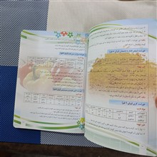 پلوهای