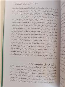 بیداری