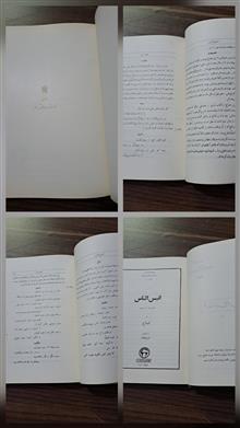 انیس