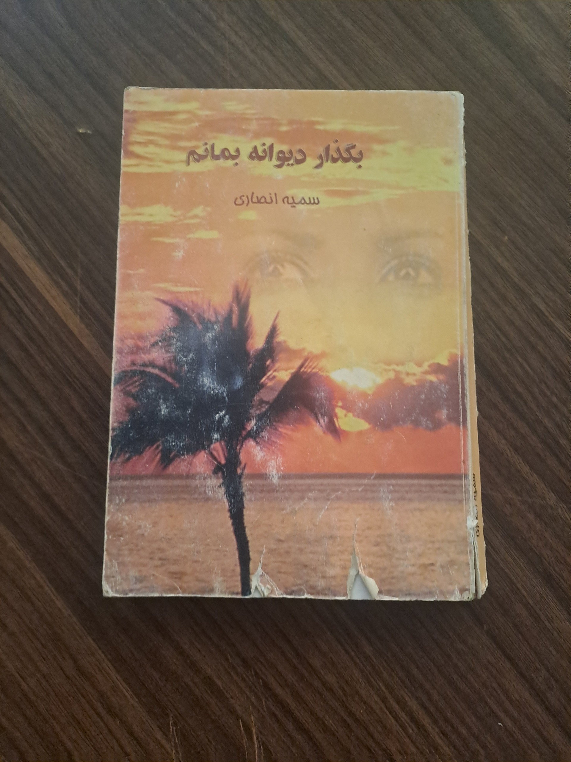 بگذار دیوانه بمانم