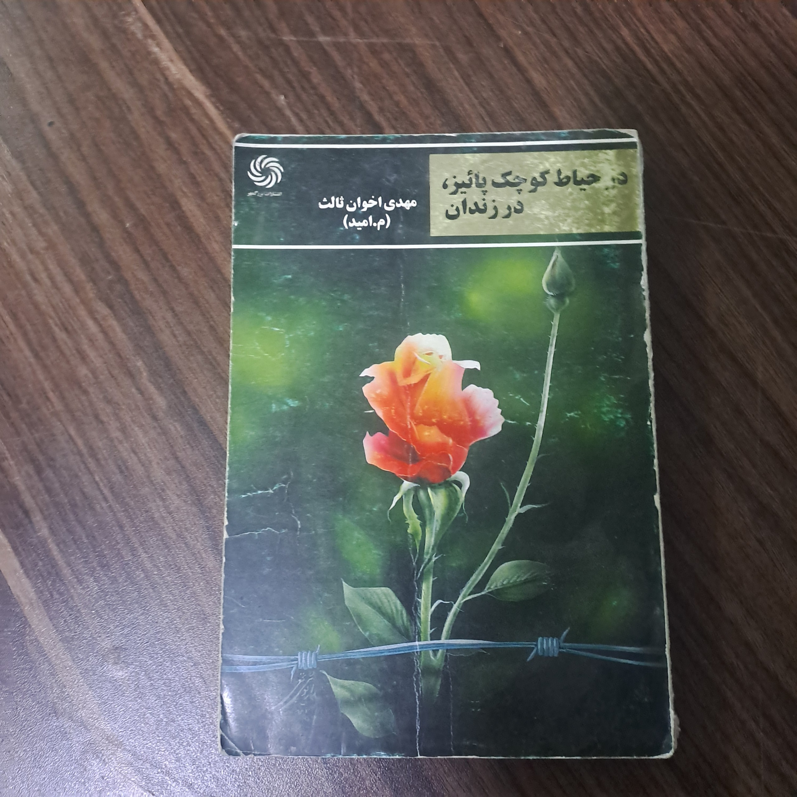 در حیاط کوچک پائیز، در زندان