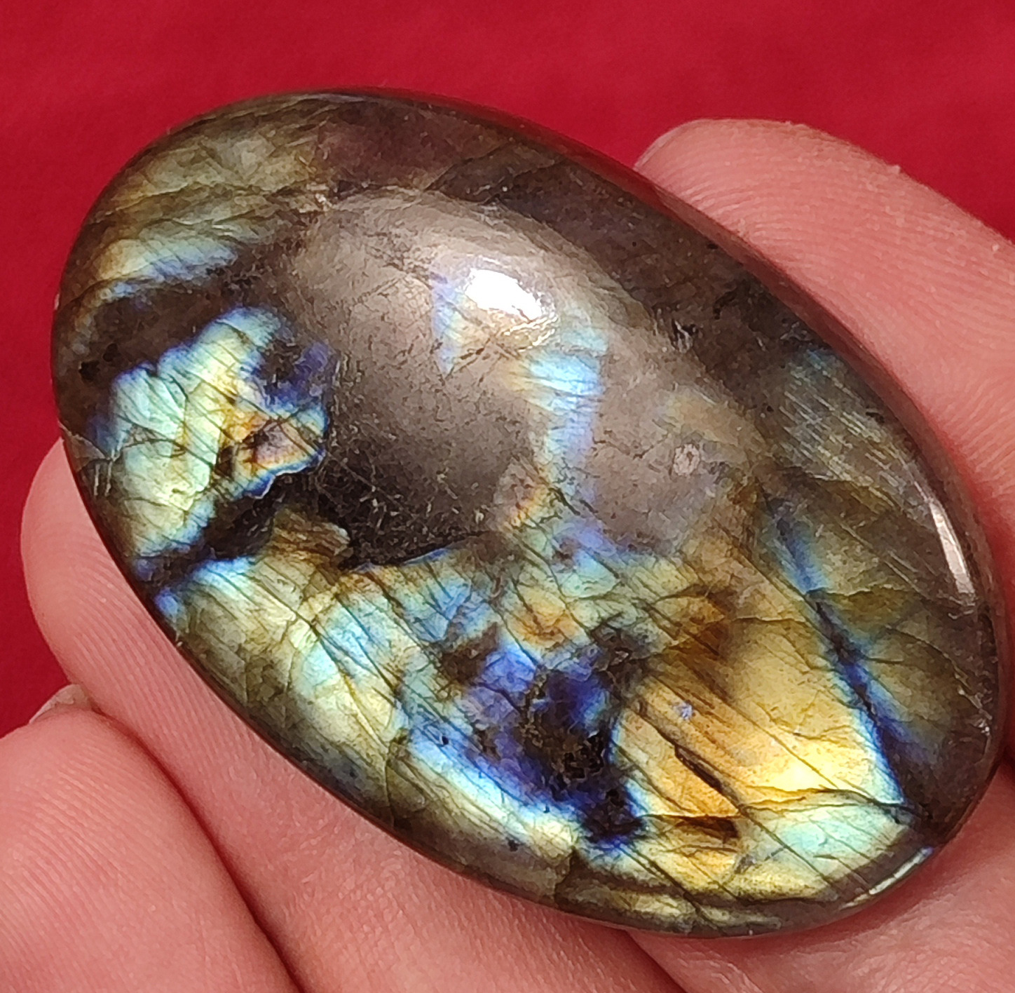 لابرادوریت غولپیکر هفت رنگ - کد 2002