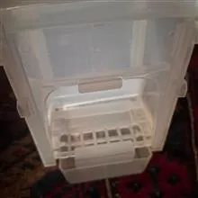 دانخوری