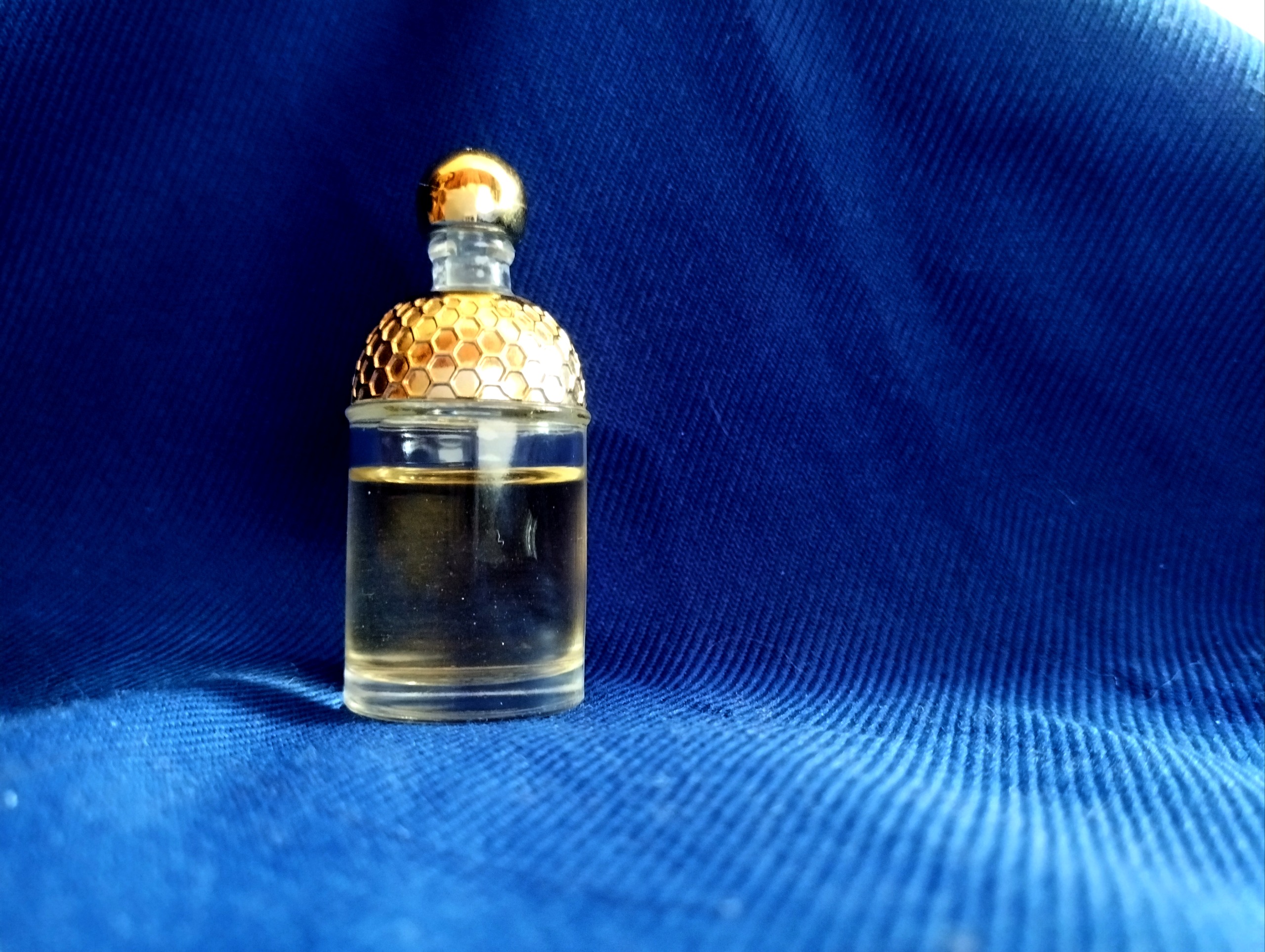 عطر آکوا آلگوریا تیزورا