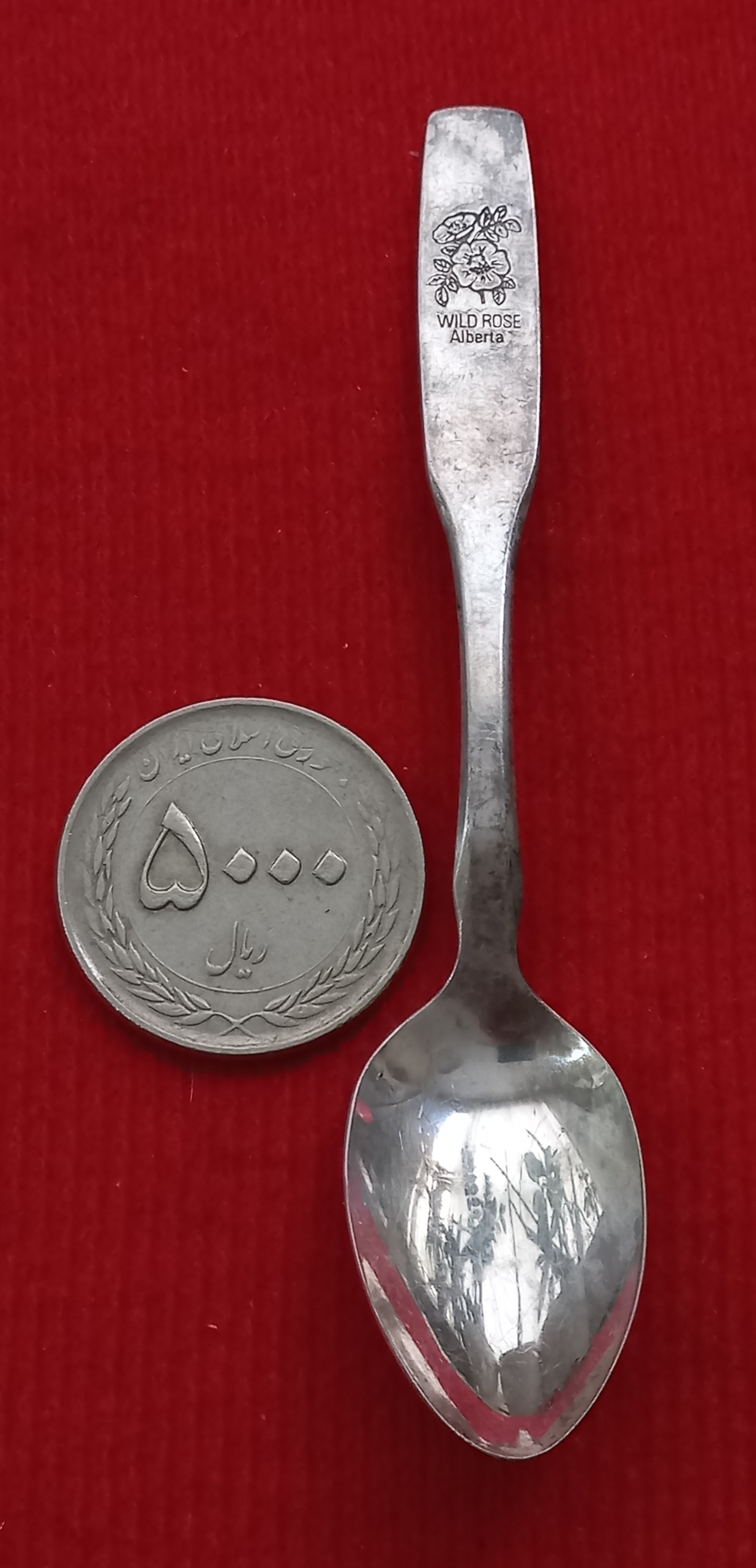 قاشق کلکسیونی روکش نقره آلبرتا کانادا