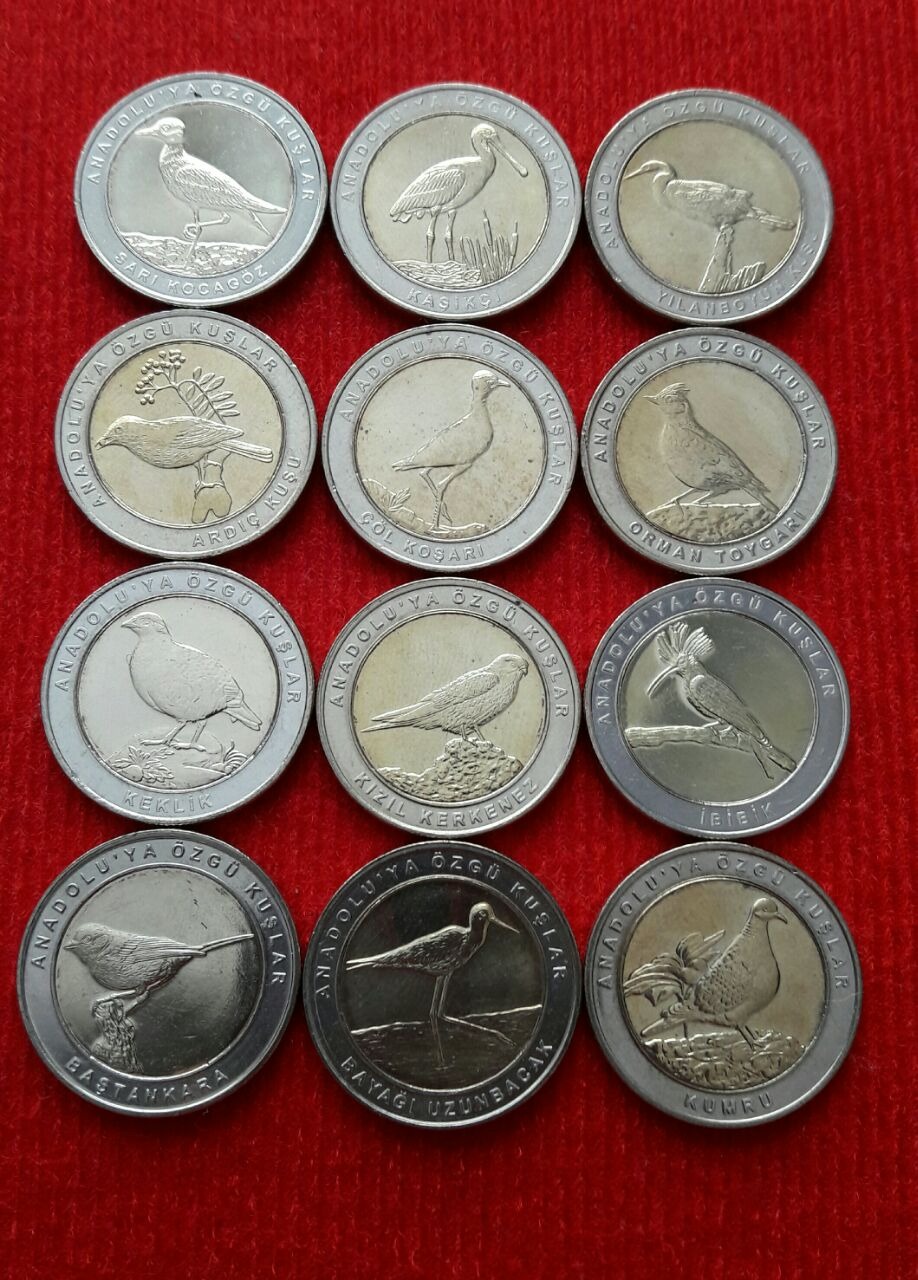 مجموعه سکه یادبودی ترکیه پرندگان 2019