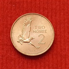 سکه