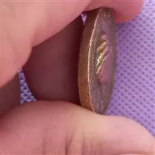 مدال