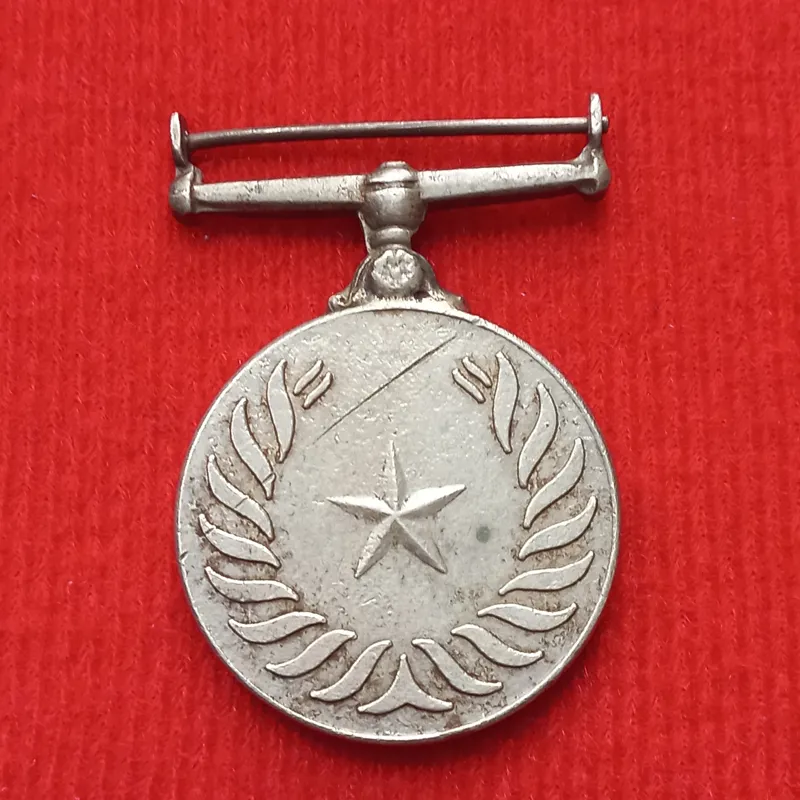 مدال نیکل ستاره پاکستان