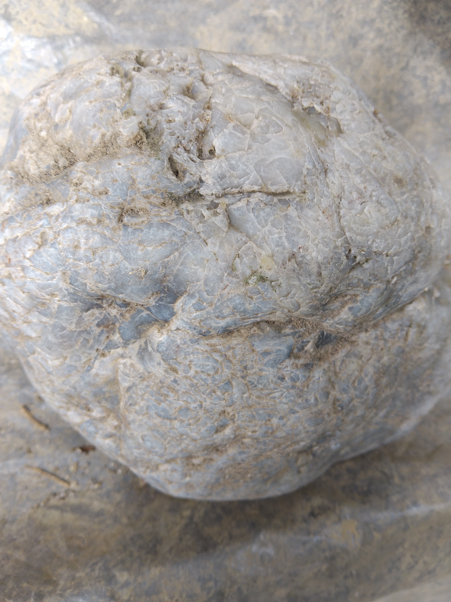 یاقوت بزرگ راف