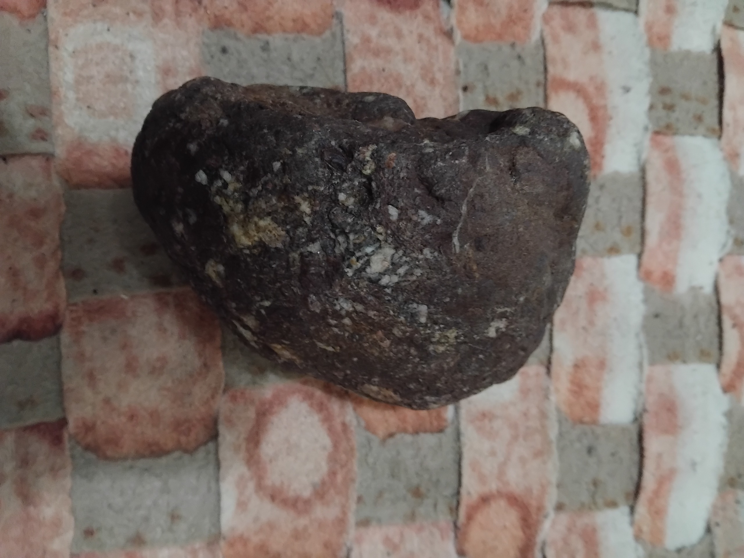 سن لپیدولیت راف