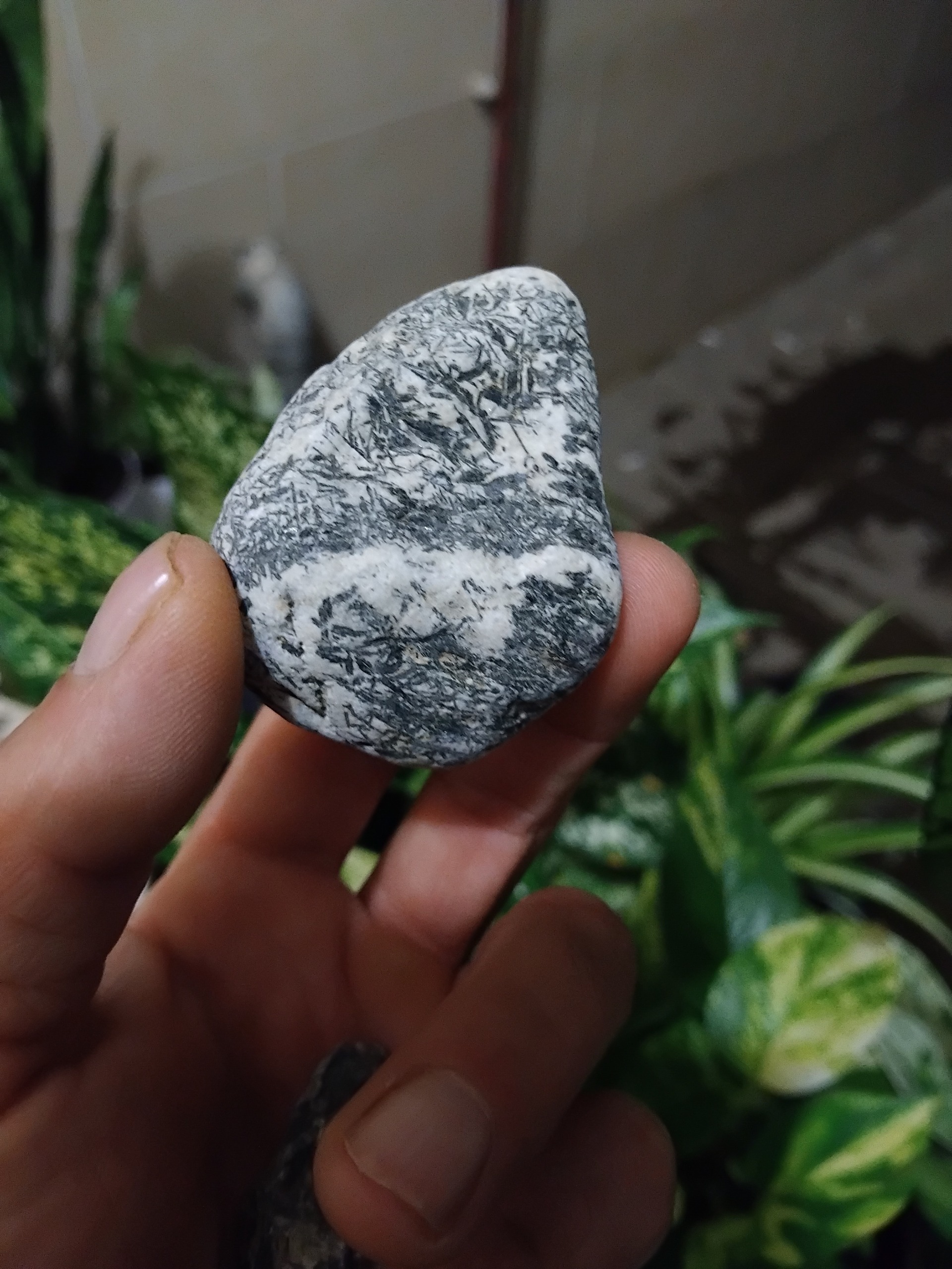 سنگ کمیاب کلیکسونی