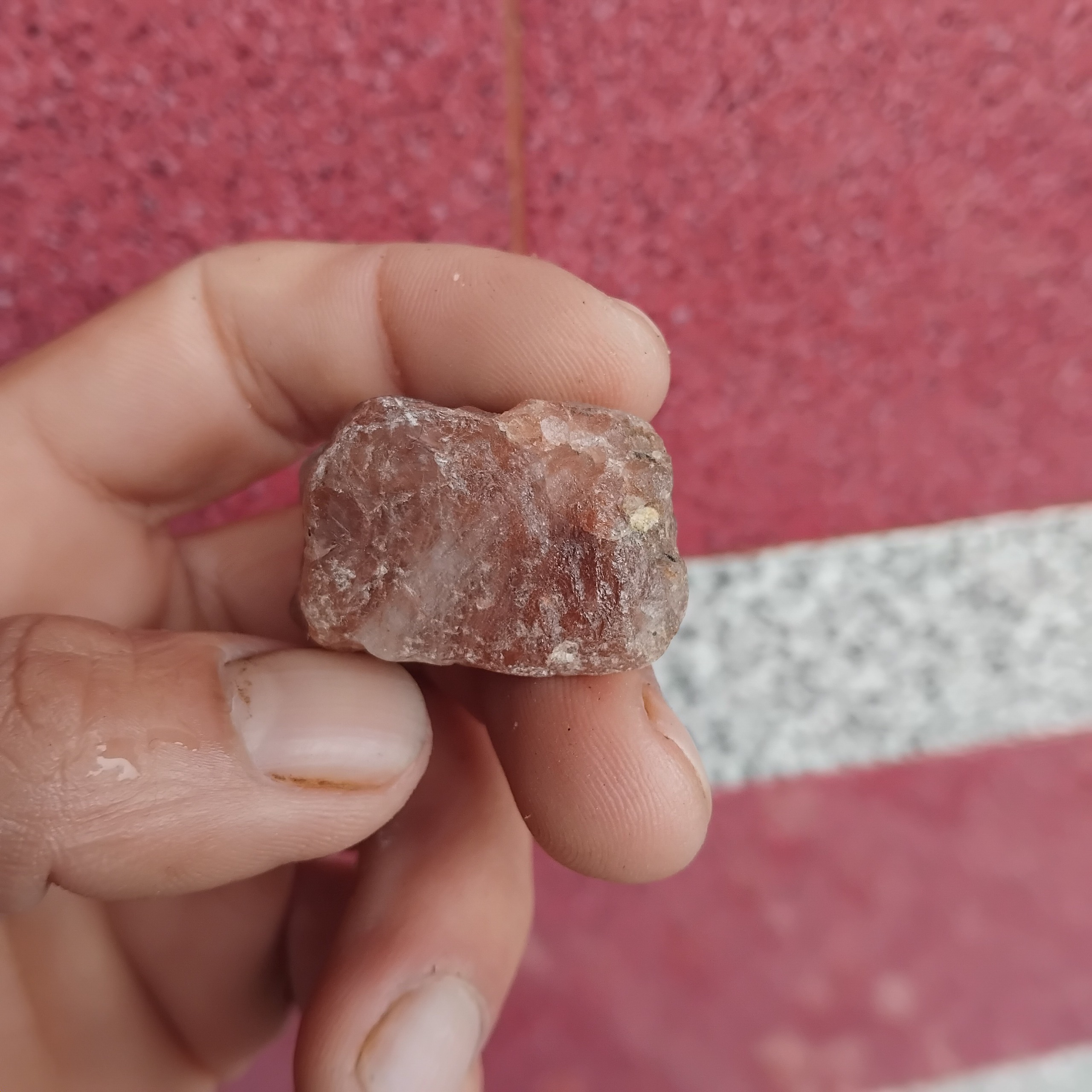 بریل زیبا راف کمیباب