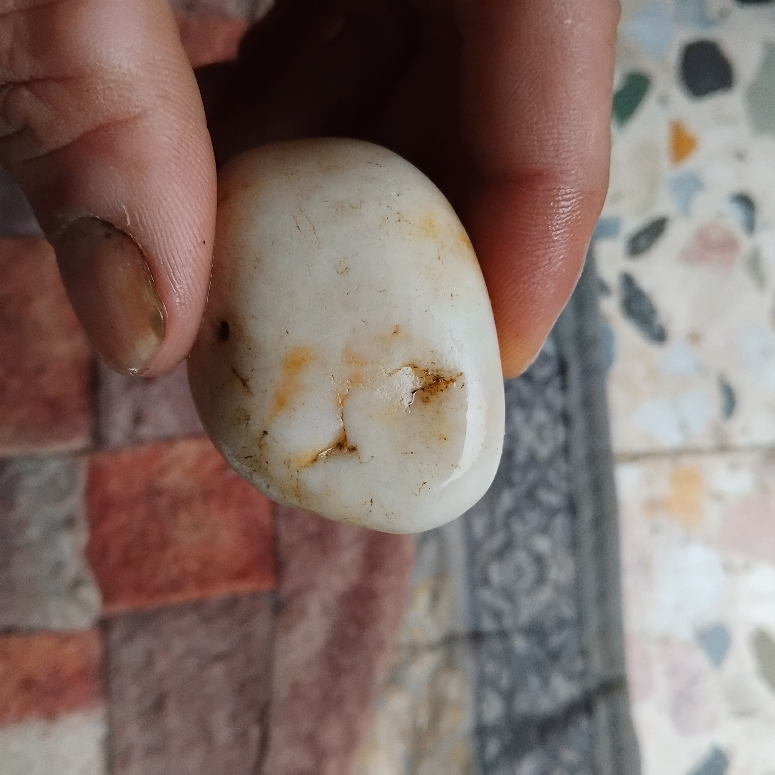 اپال شیری زیبا راف