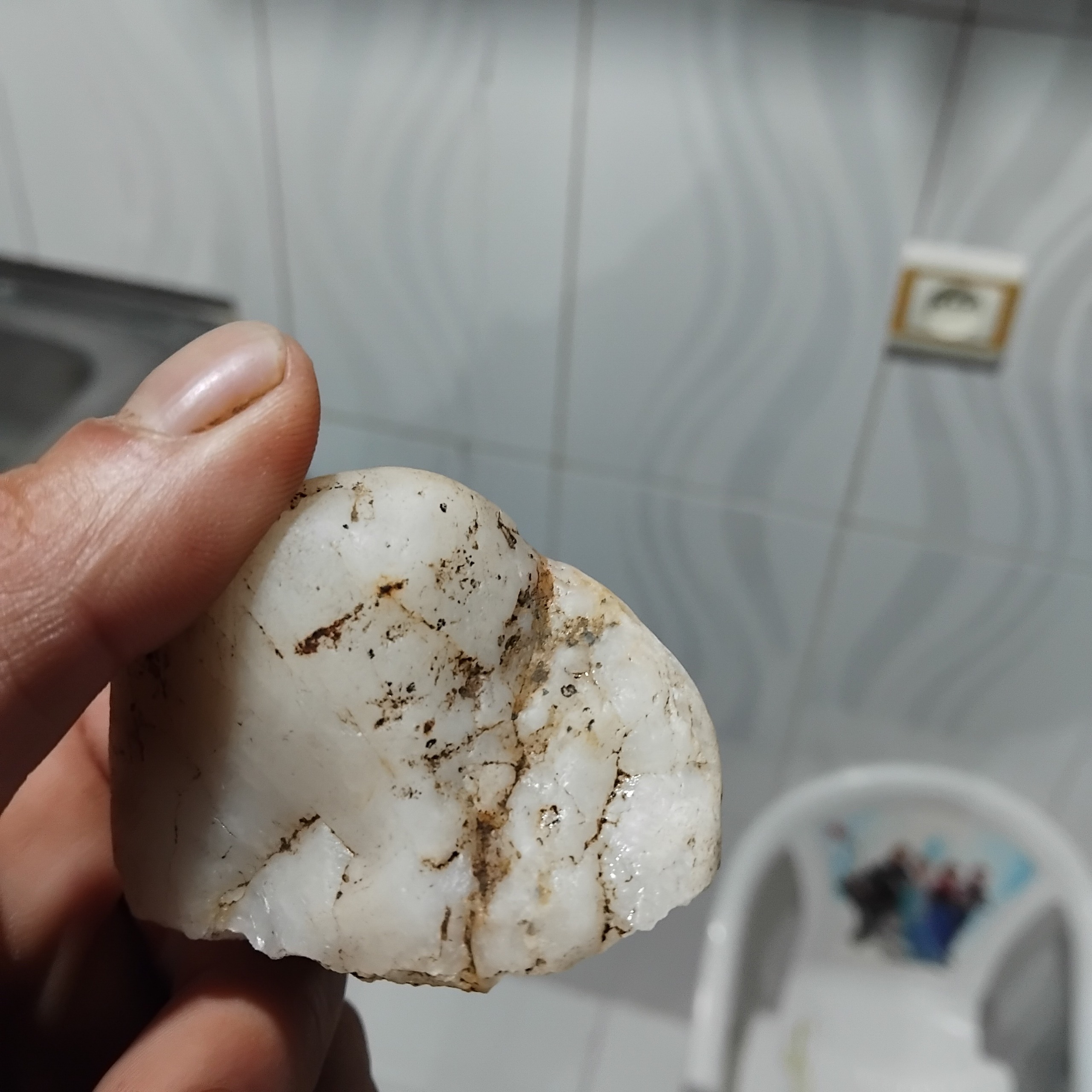 اپال شیری زیبا راف